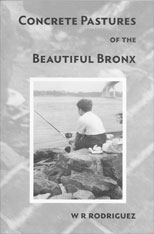 Concrete Pastures cover